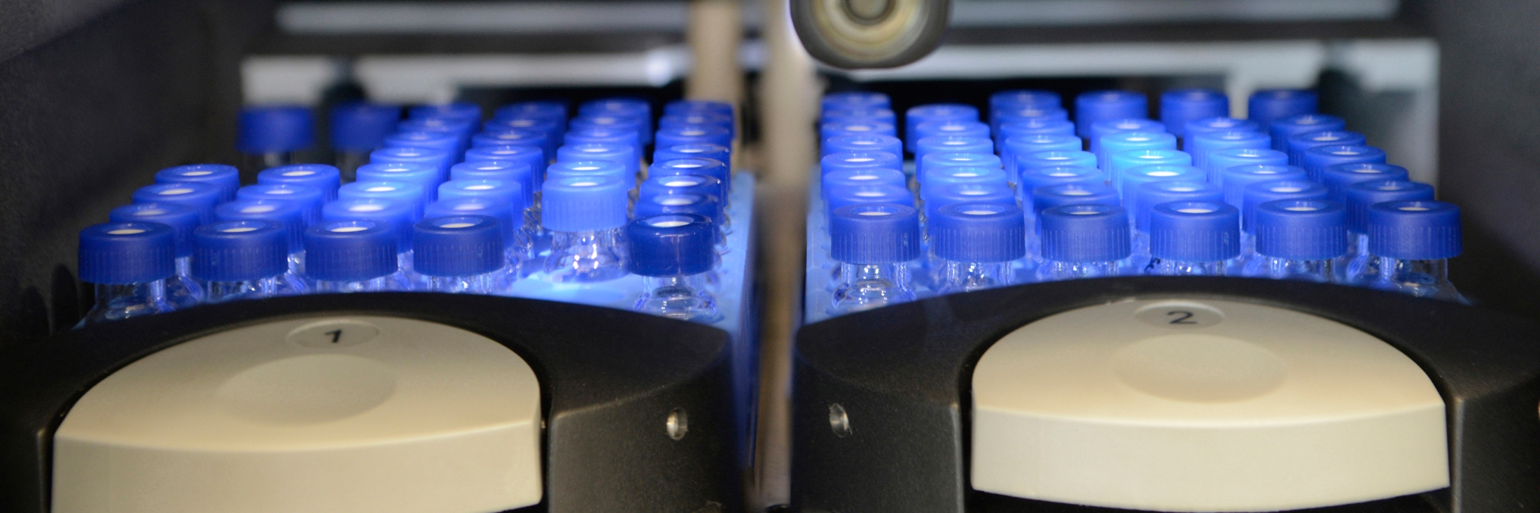 Header image background