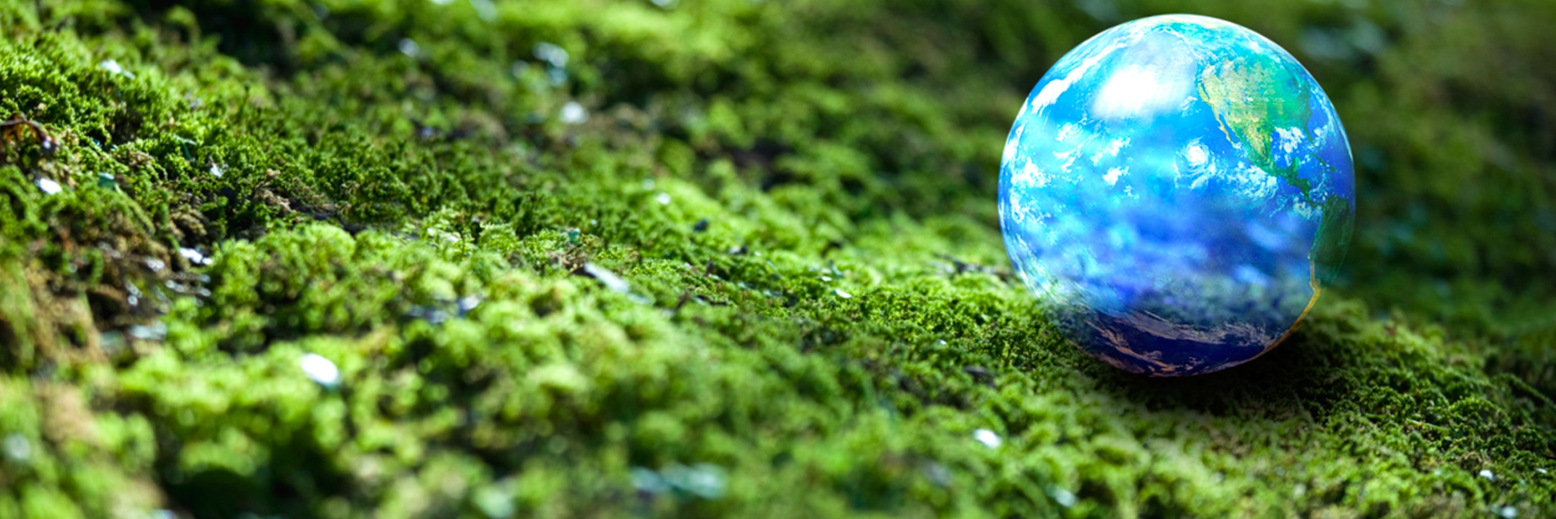 Header image background