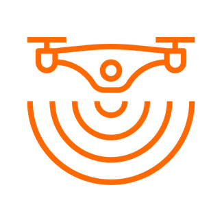 DRI/NRI icon